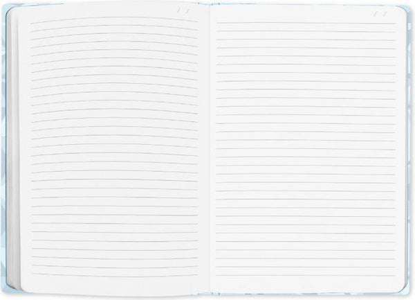 Caran d´Ache, Notizbuch A5, Alpine Frost, blau